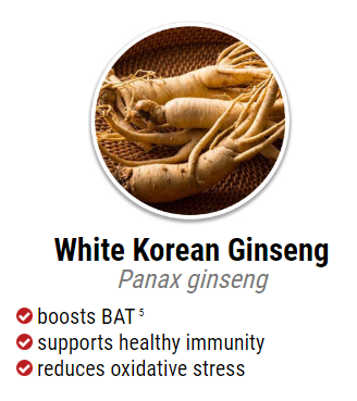 white korean ginseng